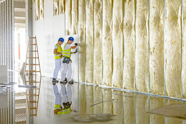 Best Insulation Maintenance and Repair in Governors Clu, NC